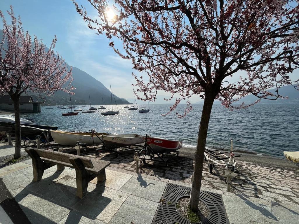 Il Sole Di Calde Lago Maggiore 504 Castelveccana Bagian luar foto