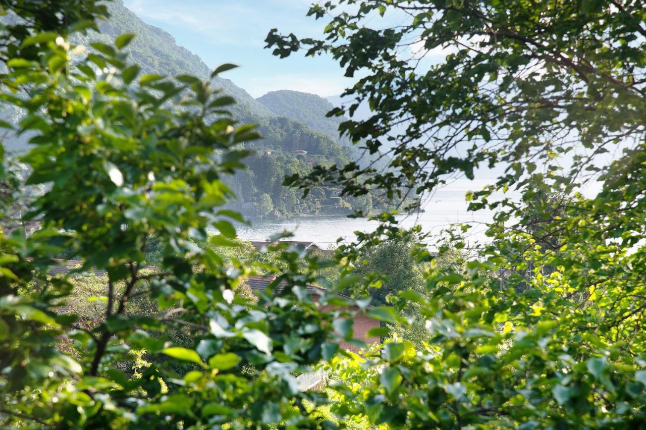Il Sole Di Calde Lago Maggiore 504 Castelveccana Bagian luar foto